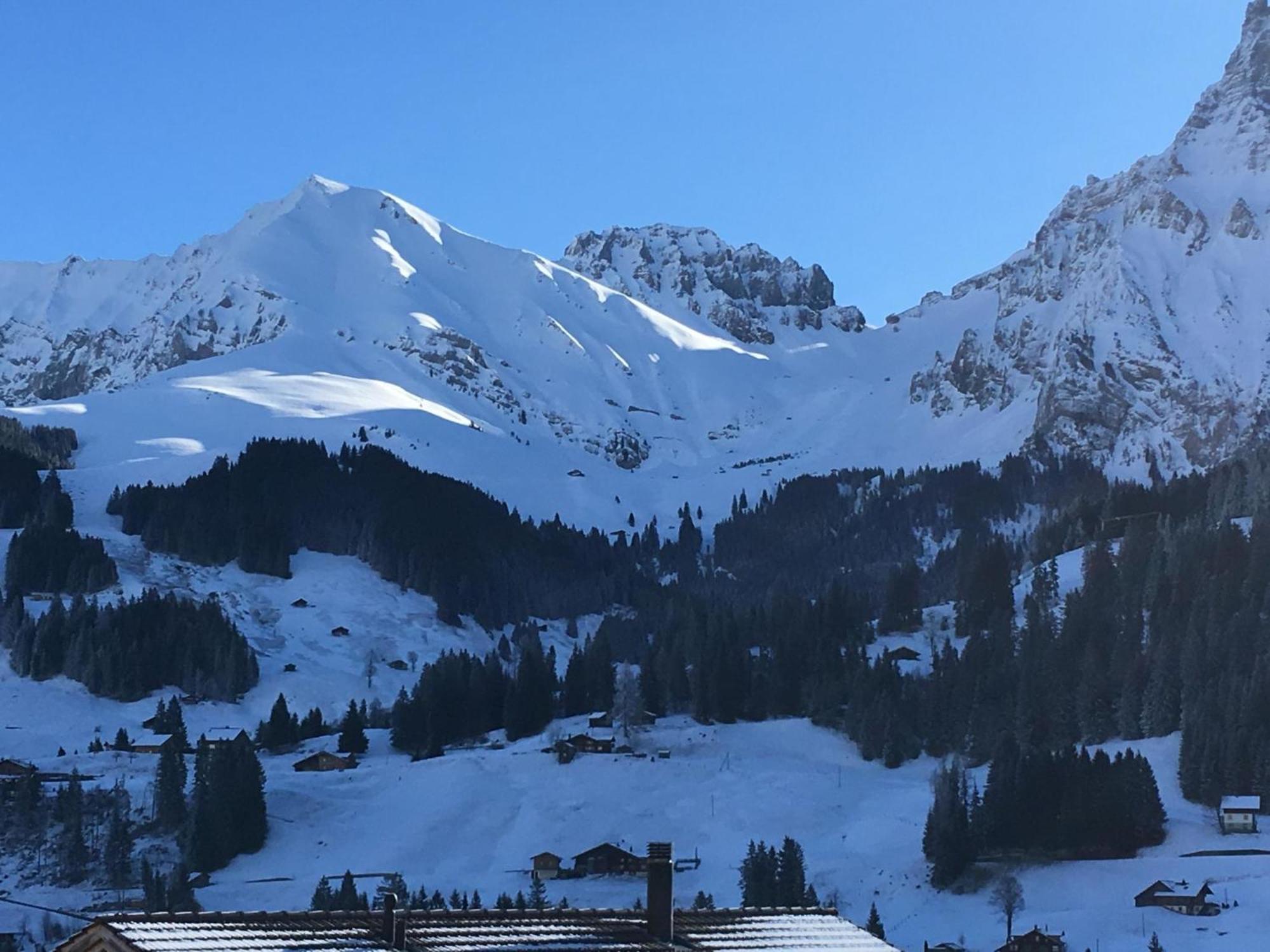 Apartment Hari By Interhome Adelboden Luaran gambar